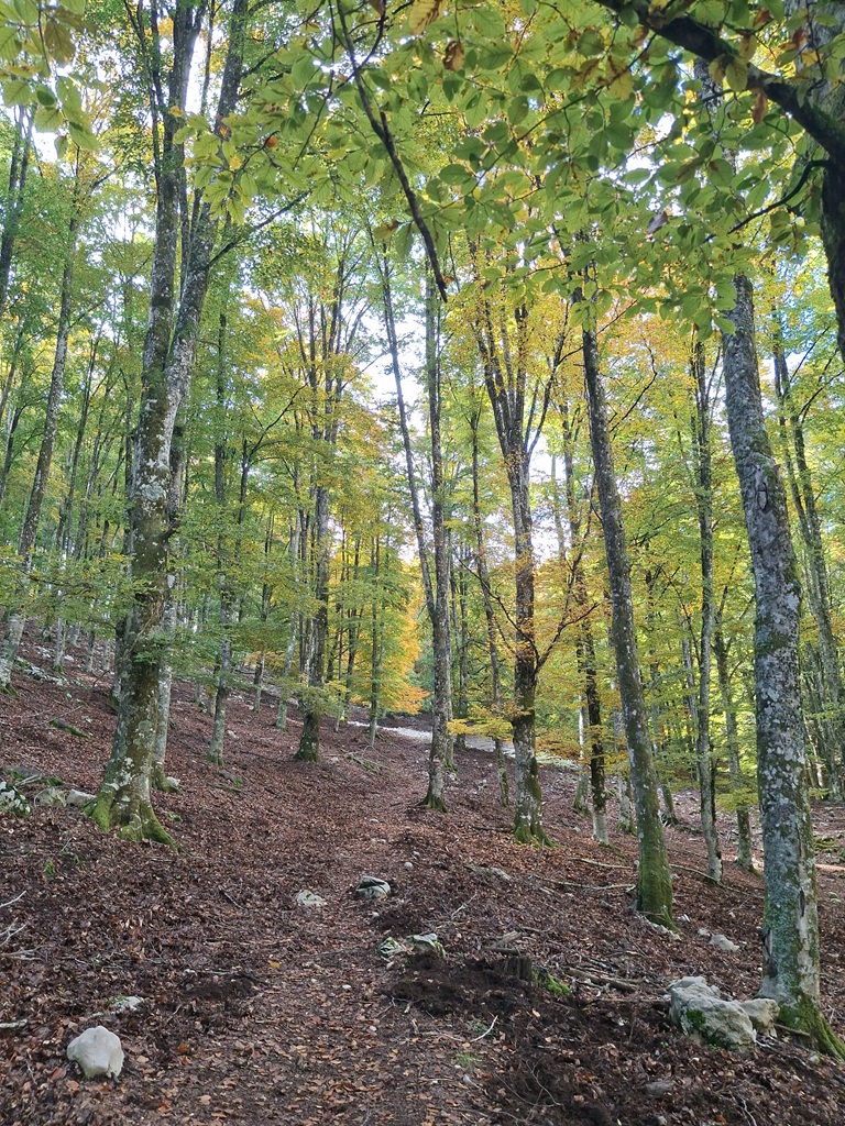 eventi/529-Croce di Sprone Maraoni da Santa Serena-2025-11-23/fotopresentazione/images/20251018_115154_lq.jpg